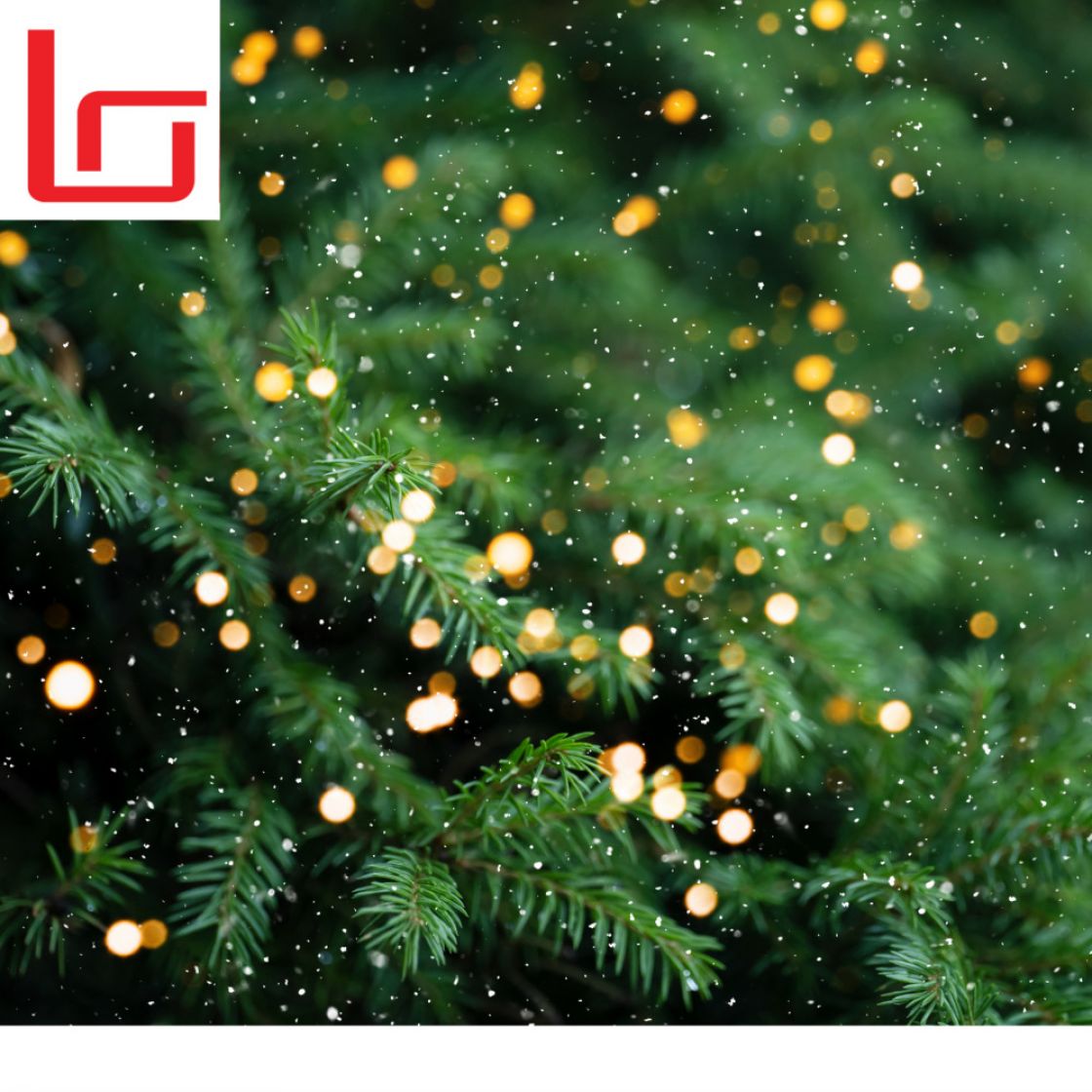 Fun Facts About Christmas Day