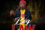 Big Law by Outlaw Muddbaby